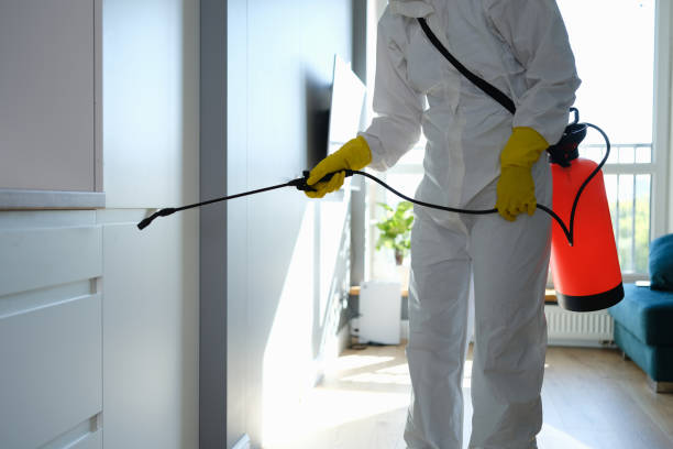 Certified Mold Removal in Lake City, AR