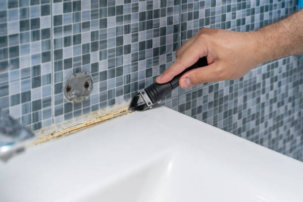 Best Certified Mold Removal  in Lake City, AR