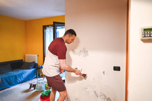 Best Mold Damage Repair  in Lake City, AR